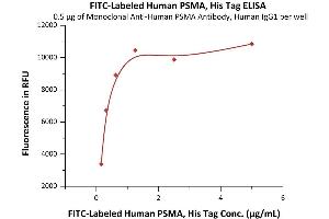 Immobilized Monoclonal A PSMA Antibody, Human IgG1 at 5 μg/mL (100 μL/well) can bind Fed Human PSMA, His Tag (ABIN6973205) with a linear range of 0.