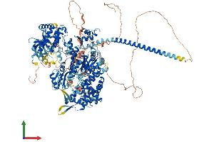 AlphaFold protein structure predicition of Human Recombinant MYO3B Protein, UniprotID Q8WXR4