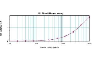 Image no. 3 for anti-Nanog Homeobox (NANOG) antibody (Biotin) (ABIN181657)