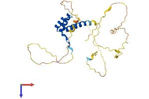 AlphaFold protein structure predicition of Human Recombinant NKX2-2 Protein, UniprotID O95096