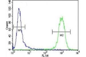 ATF3 antibody flow cytometric analysis of CEM cells (right histogram) compared to a negative control (left histogram).