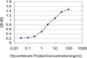 Detection limit for recombinant GST tagged IRF2 is approximately 0. (IRF2 anticorps  (AA 216-315))
