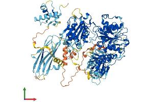 AlphaFold protein structure predicition of Mouse Recombinant Mov10 Protein, UniprotID P23249