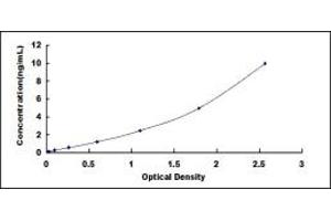 Typical standard curve (D2HGDH Kit ELISA)