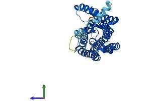 AlphaFold protein structure predicition of Human Recombinant OR8D1 Protein, UniprotID Q8WZ84