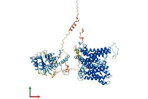 AlphaFold protein structure predicition of Mouse Recombinant Slc4a1 Protein, UniprotID P04919