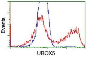 Image no. 2 for anti-U-Box Domain Containing 5 (UBOX5) (AA 1-130), (AA 419-487) antibody (ABIN1490569) (UBOX5 anticorps  (AA 1-130, AA 419-487))