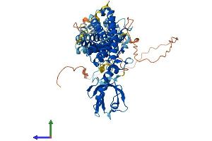 AlphaFold protein structure predicition of Human Recombinant RHPN2P1 Protein, UniprotID A8MT19