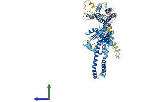 AlphaFold protein structure predicition of Mouse Recombinant Stra6 Protein, UniprotID O70491