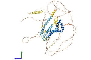 AlphaFold protein structure predicition of Human Recombinant HMGXB4 Protein, UniprotID Q9UGU5