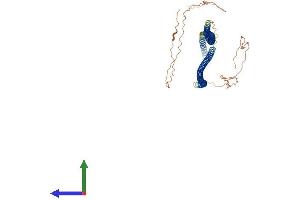 AlphaFold protein structure predicition of Mouse Recombinant Krt71 Protein, UniprotID Q9R0H5