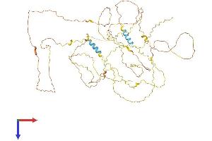 AlphaFold protein structure predicition of Mouse Recombinant Amer2 Protein, UniprotID Q8CCJ4
