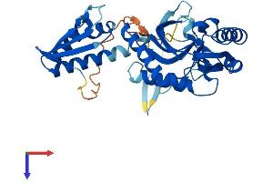AlphaFold protein structure predicition of Mouse Recombinant Ascc1 Protein, UniprotID Q9D8Z1