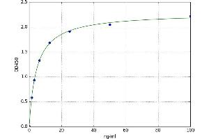 Intercellular Adhesion Molecule 3 (ICAM3) ELISA Kit
