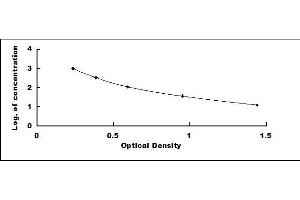 Typical standard curve (Kallikrein 12 Kit ELISA)