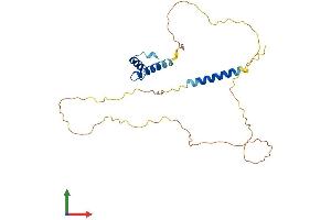 AlphaFold protein structure predicition of Mouse Recombinant Emd Protein, UniprotID O08579