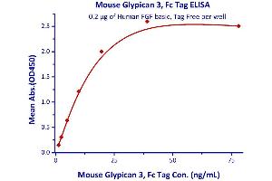 Measured by its binding ability in a functional ELISA.