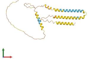 AlphaFold protein structure predicition of Mouse Recombinant Arl6ip6 Protein, UniprotID Q8BH07
