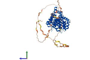 AlphaFold protein structure predicition of Mouse Recombinant Anxa11 Protein, UniprotID P97384