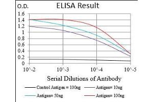 anti-SRY (Sex Determining Region Y)-Box 10 (SOX10) (AA 147-252) antibody