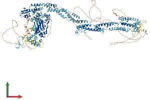 AlphaFold protein structure predicition of Human Recombinant KDM5B Protein, UniprotID Q9UGL1