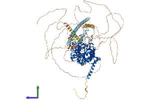 AlphaFold protein structure predicition of Mouse Recombinant Hdac4 Protein, UniprotID Q6NZM9