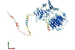 AlphaFold protein structure predicition of Human Recombinant DDX28 Protein, UniprotID Q9NUL7