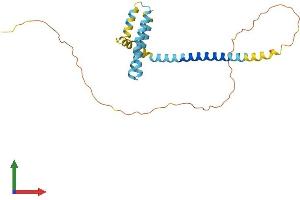 AlphaFold protein structure predicition of Human Recombinant REEP2 Protein, UniprotID Q9BRK0