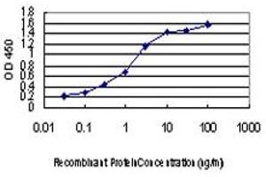 Detection limit for recombinant GST tagged ACVR1B is approximately 0.