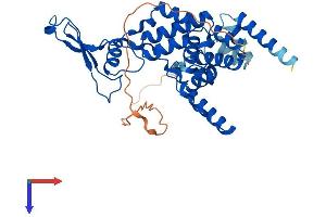 AlphaFold protein structure predicition of Human Recombinant MRPS22 Protein, UniprotID P82650