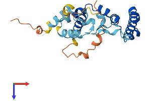 AlphaFold protein structure predicition of Human Recombinant TBC1D28 Protein, UniprotID Q2M2D7