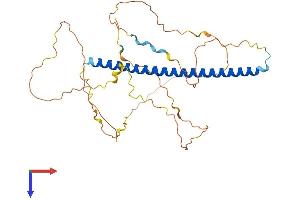 AlphaFold protein structure predicition of Mouse Recombinant Fosb Protein, UniprotID P13346