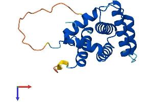 BCL2-Like 15 (BCL2L5) (AA 1-167) protein (His tag)