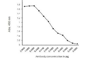 ELISA image for anti-C-Peptide antibody (ABIN487413)