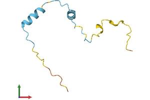 AlphaFold protein structure predicition of Human Recombinant MUSTN1 Protein, UniprotID Q8IVN3