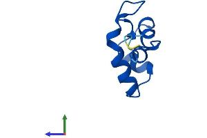 AlphaFold protein structure predicition of Mouse Recombinant Polr2l Protein, UniprotID P62876