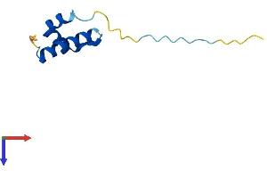 AlphaFold protein structure predicition of Mouse Recombinant Ctnnbip1 Protein, UniprotID Q9JJN6