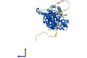 AlphaFold protein structure predicition of Mouse Recombinant Crmp1 Protein, UniprotID P97427