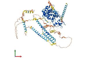 AlphaFold protein structure predicition of Human Recombinant DTNA Protein, UniprotID Q9Y4J8