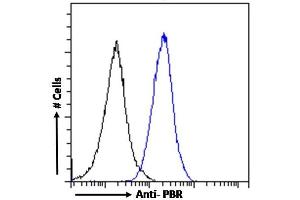 (ABIN570960) Flow cytometric analysis of paraformaldehyde fixed NIH3T3 cells (blue line), permeabilized with 0.