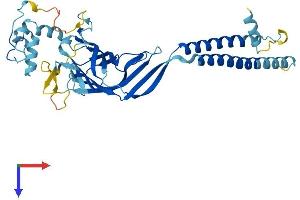 AlphaFold protein structure predicition of Mouse Recombinant Ergic3 Protein, UniprotID Q9CQE7