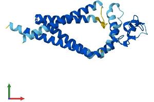 AlphaFold protein structure predicition of Mouse Recombinant Tspan9 Protein, UniprotID Q8BJU2