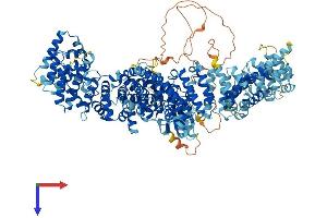 AlphaFold protein structure predicition of Human Recombinant ULK4 Protein, UniprotID Q96C45