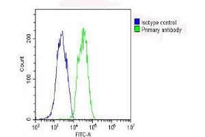 Overlay histogram showing HepG2 cells stained with (ABIN653263 and ABIN2842782) (green line).