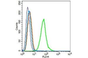 A549 cells probed with TLR6 Polyclonal Antibody, Unconjugated  at 1:100 for 30 minutes followed by incubation with a conjugated secondary (PE Conjugated) (green) for 30 minutes compared to control cells (blue), secondary only (light blue) and isotype control (orange).