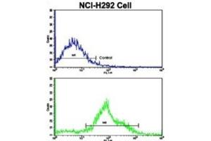 Flow Cytometry (FACS) image for anti-Fat Mass and Obesity-Associated (FTO) antibody (ABIN3002909)