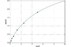 Neuropilin 1 (NRP1) ELISA Kit