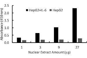 Transcription factor assay of HNF-1-alpha from nuclear extracts of HepG2 cells or HepG2 cells treated with IL-6 with HNF-1-alpha TF Activity Assay Kit. (HNF1A Kit ELISA)