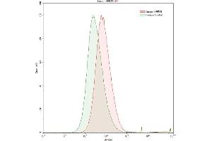 Detection of HPRT1 in HepG2 human hepatocellular carcinoma cell line using Polyclonal Antibody to Hypoxanthine Phosphoribosyltransferase 1 (HPRT1)