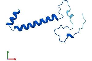 AlphaFold protein structure predicition of Human Recombinant NDUFA4 Protein, UniprotID O00483